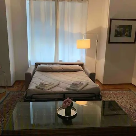 Accogliente Trilocale In Gran Madre Daire *